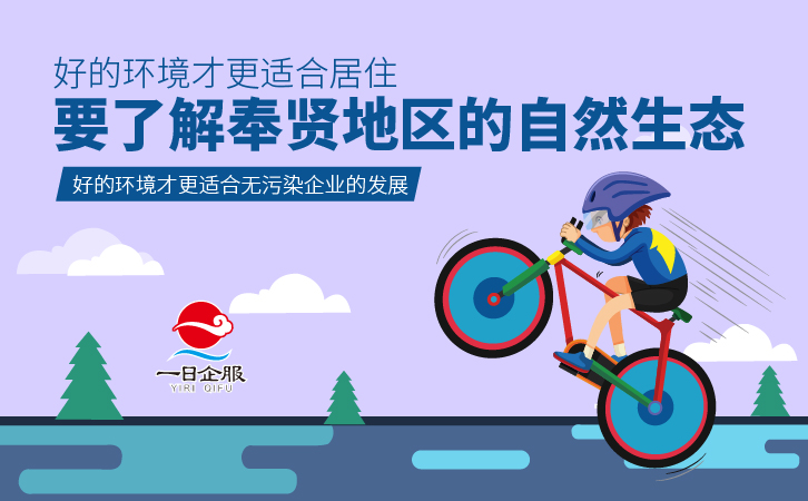 走进奉贤，了解奉贤区注册公司-03.jpg