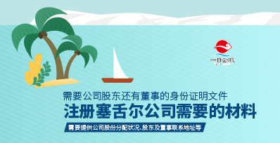 上海注册塞舌尔公司的相关说明