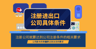 注册进出口公司详情